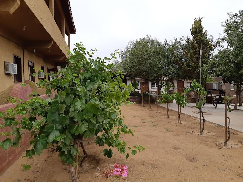 Hotel Meson Del Vino Valle de Guadalupe Exterior photo
