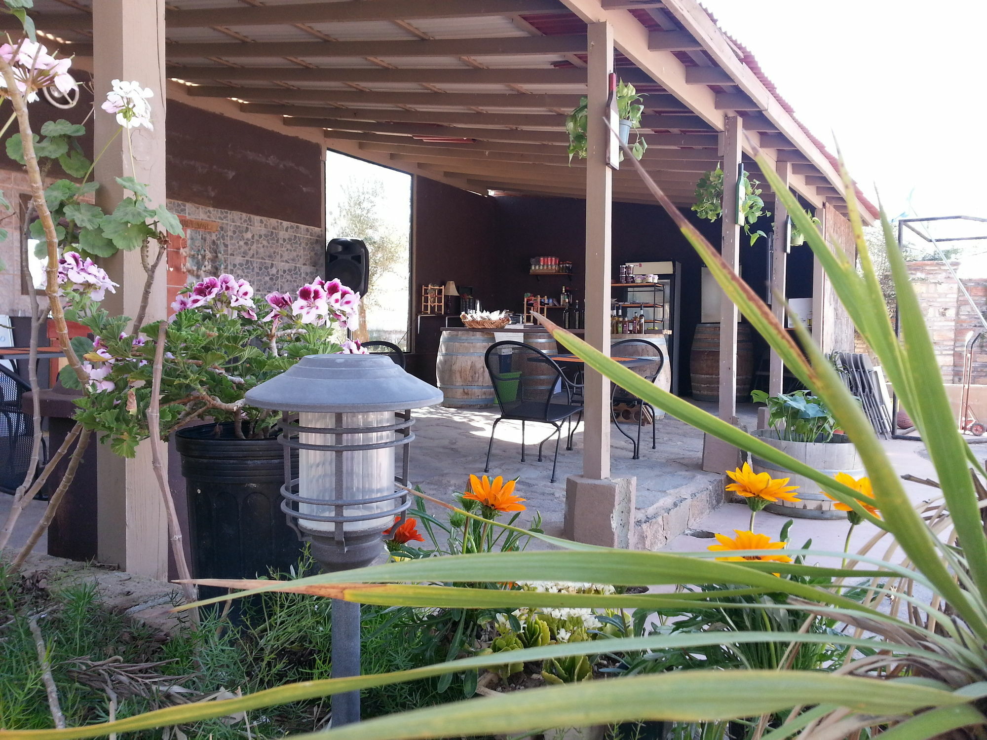 Hotel Meson Del Vino Valle de Guadalupe Exterior photo