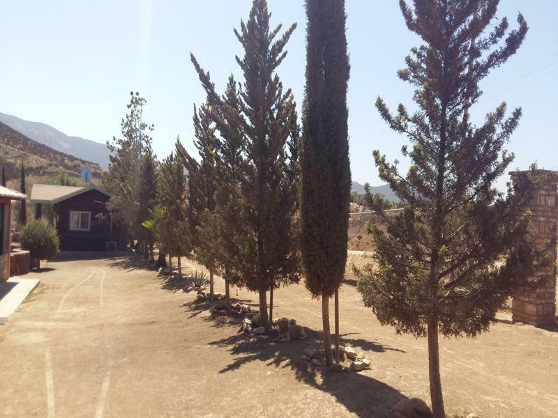Hotel Meson Del Vino Valle de Guadalupe Exterior photo