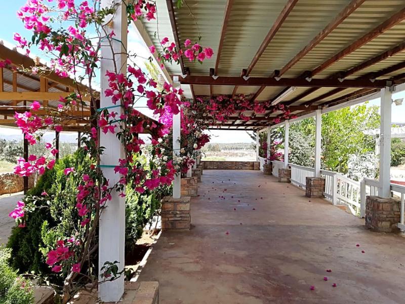 Hotel Meson Del Vino Valle de Guadalupe Exterior photo
