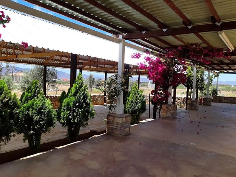 Hotel Meson Del Vino Valle de Guadalupe Exterior photo